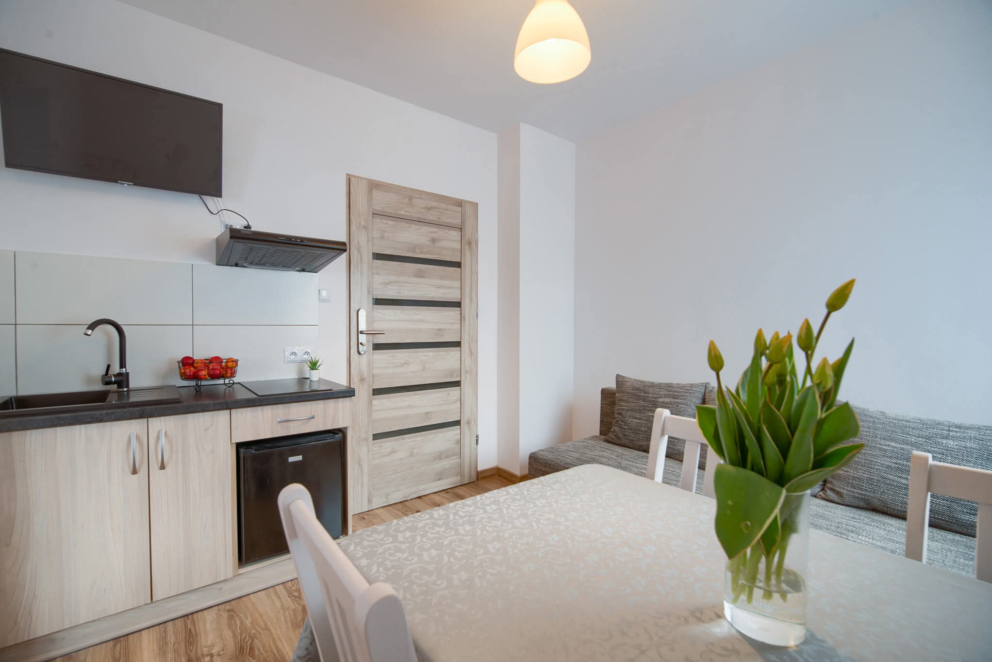 Apartament typu studio - 2-4 osobowy - widok na aneks kuchenny i rozkładaną sofę
