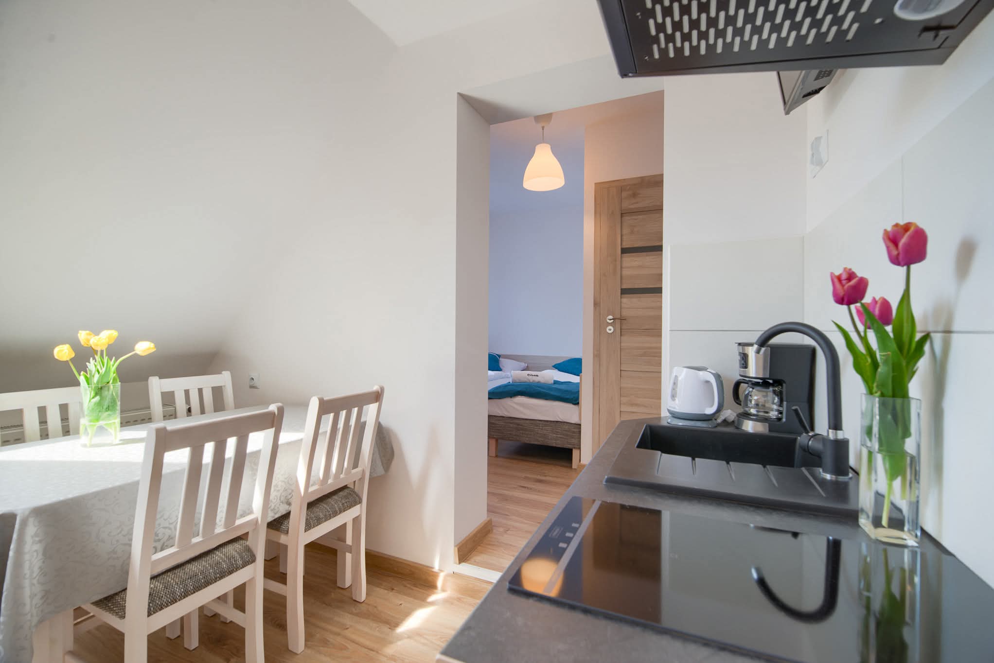 Apartament typu studio - 2-4 osobowy - widok na całość