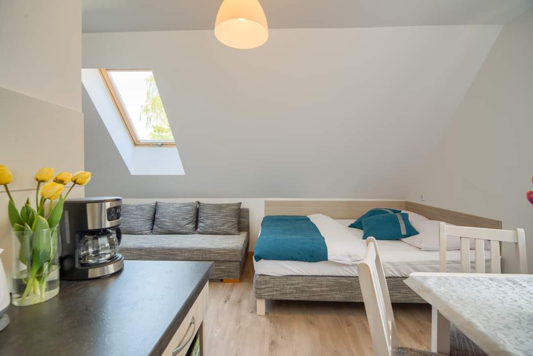 Apartament 2-4 osobowy z aneksem kuchennym - widok na część sypialnianą - Purtulka Pobierowo